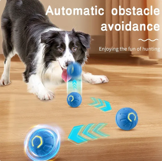Rascal Bounce Interactive Pet Ball